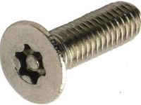 4x RVS Resistorx M4x10 security screw