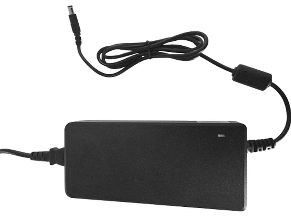 APS254W POWER ADAPTER NO AC CABLE (APS254W)