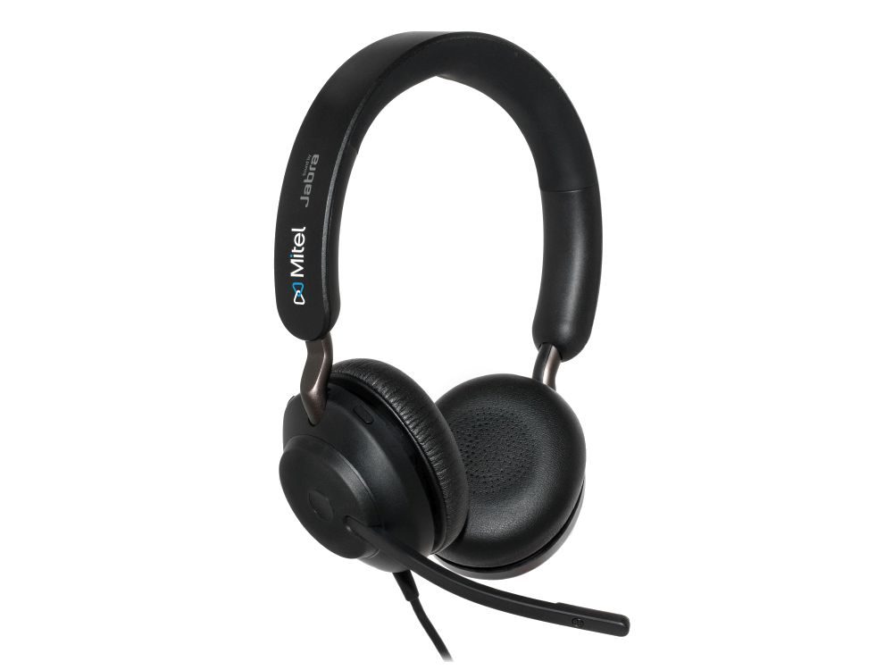 H10 Stereo USB Headset